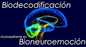 Consulta de Biodecodificación
